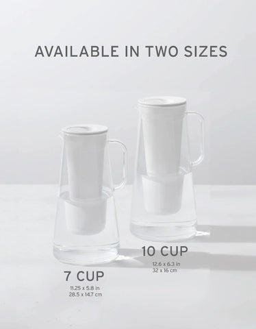 LifeStraw Home 10-Cup