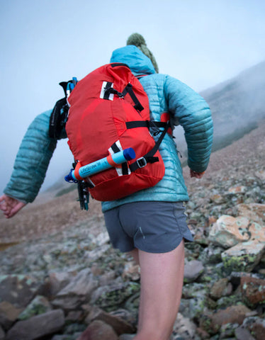LifeStraw Personal Water Filter Straw